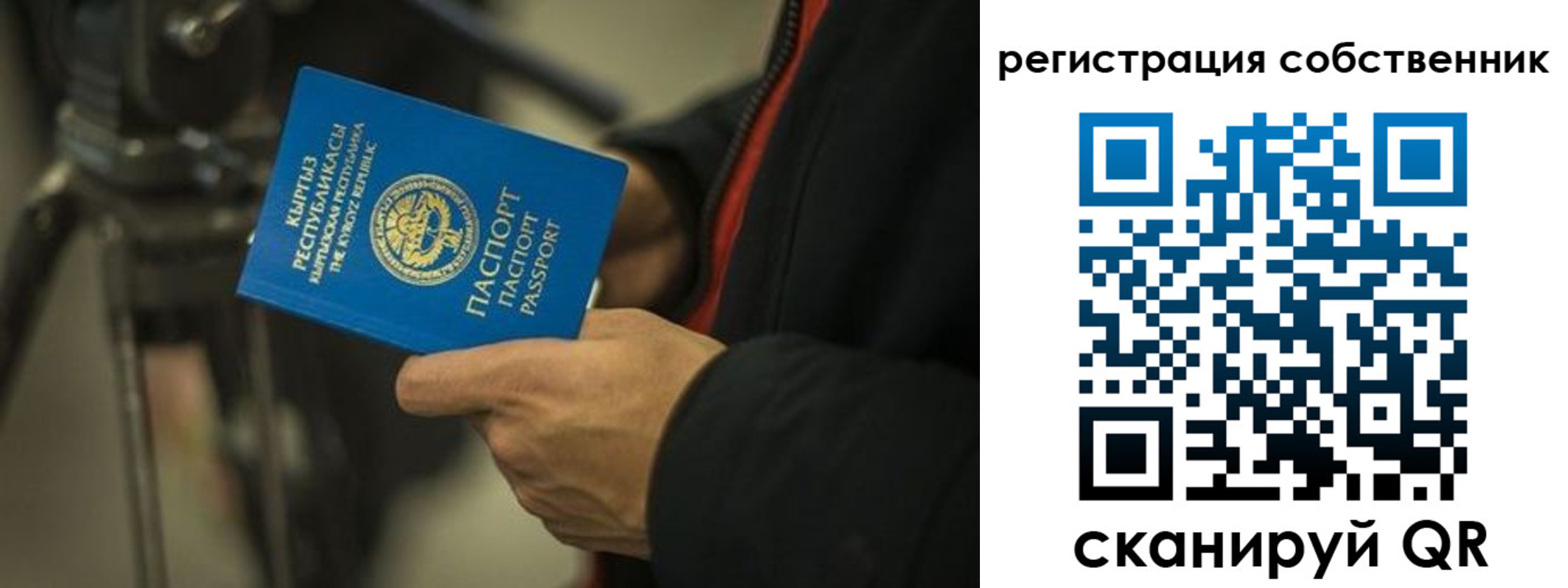 временная регистрация поиск в Болотном